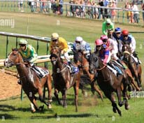 When Numbers Turn Against The Sport